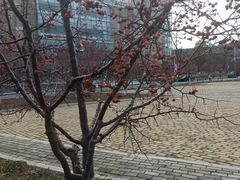 -大连外国语大学(旅顺校区)