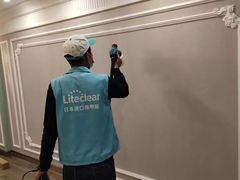 -Liteclear日本进口强效除甲醛检测治理(旗舰店)