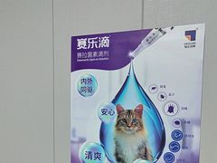 -半岛宠物医院24小时(科华中路店)