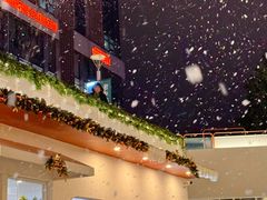 -紫荆广场·花漫里