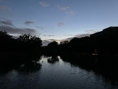 -福田红树林生态公园