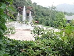 -燕塞湖鸟语林景区