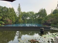-杭州西子湖四季酒店-WL BISTRO西湖餐厅(灵隐路店)