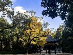 -汇龙潭