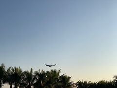 -福田红树林生态公园