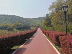 -龙寺生态园