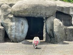-宁波野生动物园