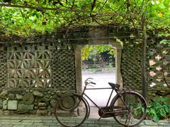 -美丽南方·老木棉匠园·团建烧烤·烤全羊