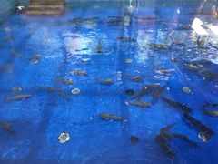 -东湖食堂·湖景餐厅•会议