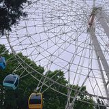 碧沙岗真的是老郑州人的回忆了 小时候最常来的公园就是