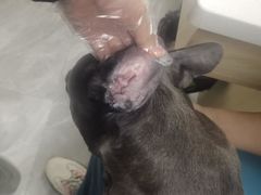 -宠颐生宠物医院·综合诊疗(先锋分院)