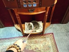 -逃脱反斗城沉浸剧情密室(北京路店)