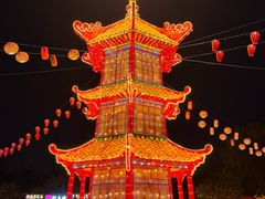 -洛阳市隋唐城遗址植物园