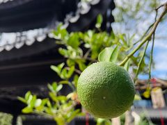 -雅达·阳羡溪山小镇中心