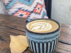 -Sirena海妖日咖夜酒