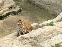 -大连森林动物园