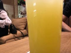 -柴务处·柴犬主题狗咖