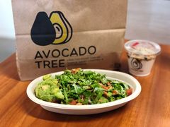-油梨树AVOCADO TREE(嘉里中心店)