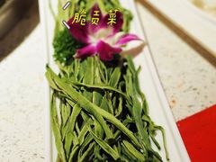 -大龙燚火锅(天钥桥路店)