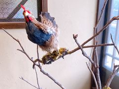-洞庭土菜馆(天河北总店)