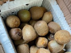 -雨田饭店