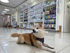 -美联众合动物医院·24h京西诊疗中心