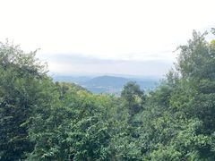 -广州市帽峰山景区