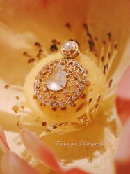 -北京七彩云南翡翠珠宝旗舰店(月坛店)