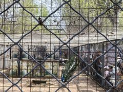 -长白岛森林公园