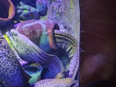 -太平洋海底世界