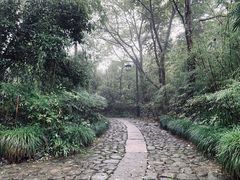 -法云安缦酒店