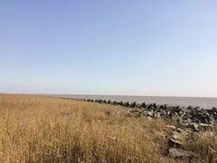 -南汇嘴观海公园