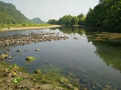 -武夷山风景名胜区-玉女峰