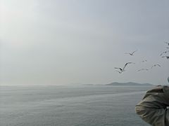 -长岛南北长山旅游景区