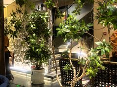 -杏花村水席楼·洛阳水席(老城十字街店)