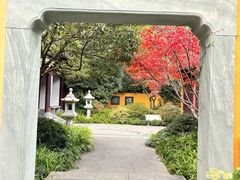 -慧因高丽寺