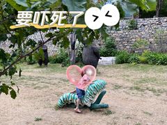 -幽岚山·童话森林