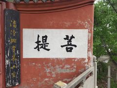 -洛阳白马寺