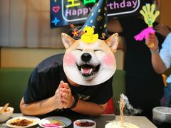 -海底捞火锅(璞丽中心店)