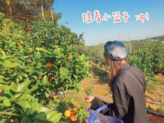 -青龙山国家森林公园