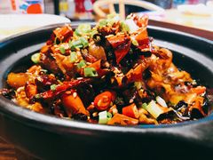 跳跳蛙-付小姐在成都(五道口店)