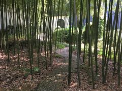 -松江清真寺