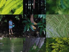 -桤木河湿地公园