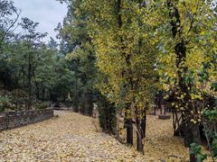 -蟠龙山长城景区