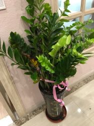 点击看大图 -玛瑞莎·儿童·亲子摄影(越秀店)