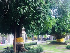 -巴厘岛悦榕庄Jumana露台餐厅