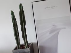-Hello·生日蛋糕·下午茶·甜品台茶歇(瑞安东山店)