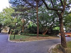 -叶叶菩提·晋福宫