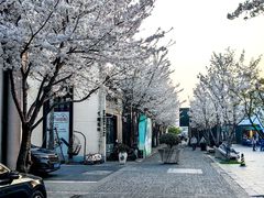 -智慧湾科创园
