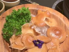 -季季山·云南野生菌火锅(上海首店)